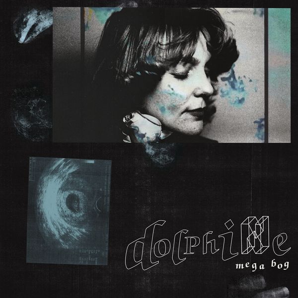 Mega Bog: Dolphine (CD)