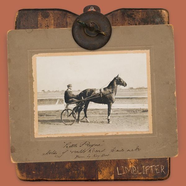 Limblifter: Little Payne (Vinyl-LP)