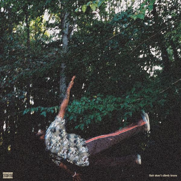 Chester Watson: Fish Dont Climb Trees (Vinyl-LP)
