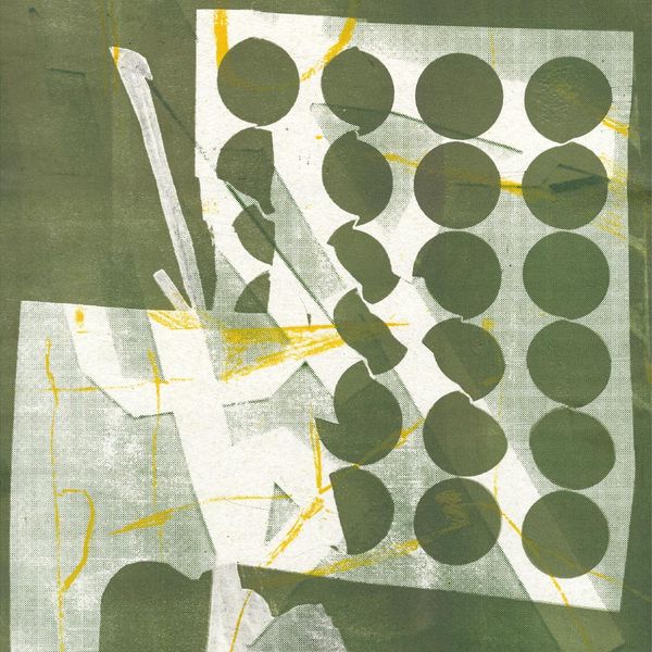 Zander Raymond: To Have Several Lives (Vinyl-LP)
