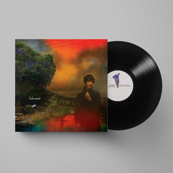 Sharon Van Etten: Weve Been Going About This All Wrong (Vinyl-LP)