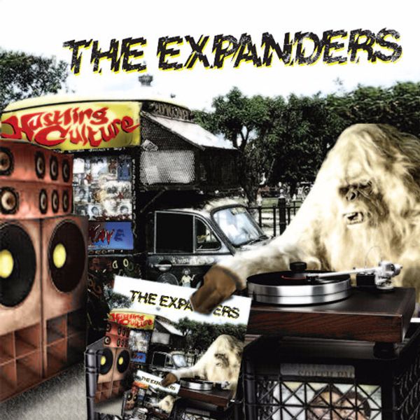 The Expanders: Hustling Culture (180g) (Vinyl-LP)
