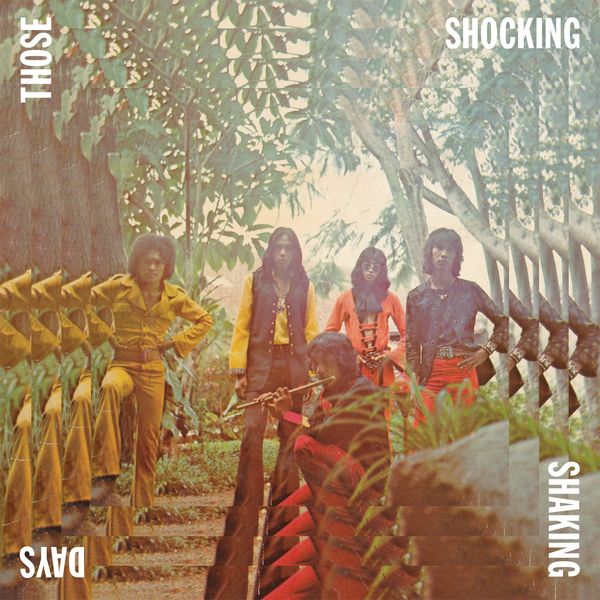Various Artists: Those Shocking Shaking Days (Vinyl-LP)
