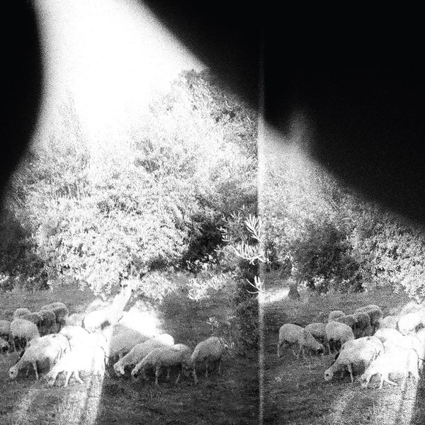 Godspeed You! Black Emperor: Asunder, Sweet And Other Distres... (LP)