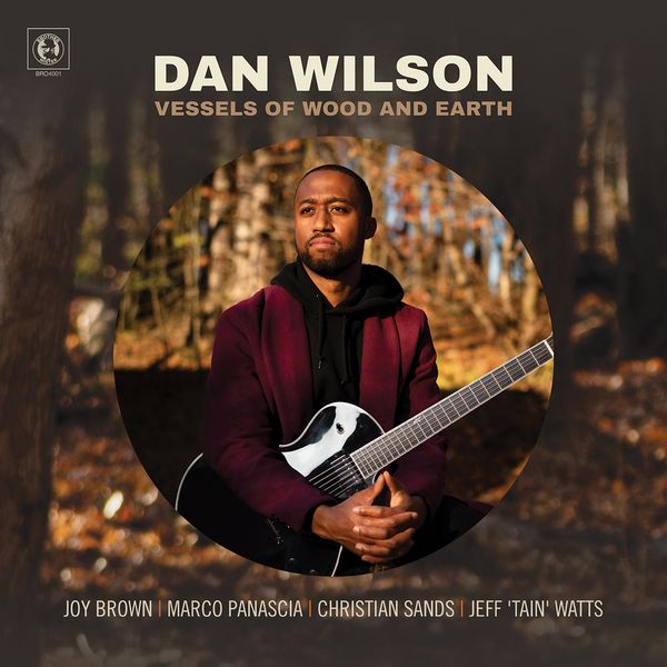 Dan Wilson: Vessels Of Wood And Earth (CD)