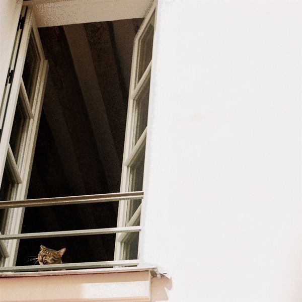 M(H)Aol: Something Soft (Vinyl-LP)