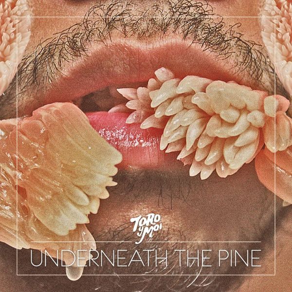 Toro Y Moi: Underneath The Pine (CD)