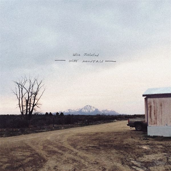 Will Johnson: Wire Mountain (CD)