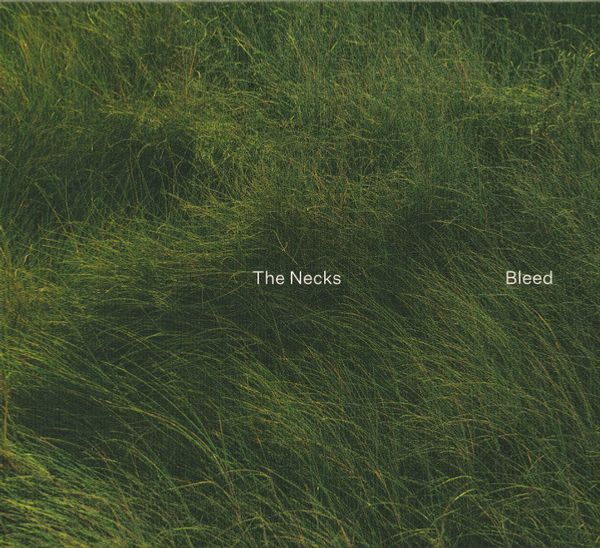 The Necks: Bleed (CD)