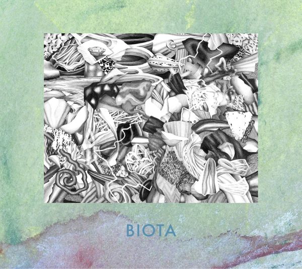 Biota: Measured Not Found (CD)