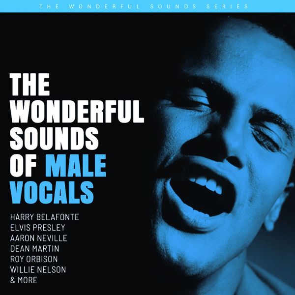 The Wonderful Sounds Of Male Vocals (Super Audio CD)