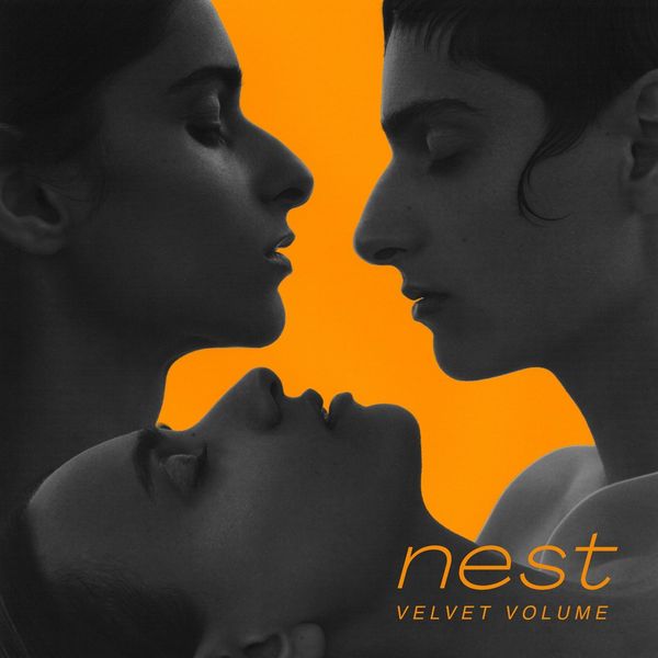 Velvet Volume: Nest (Vinyl-LP)