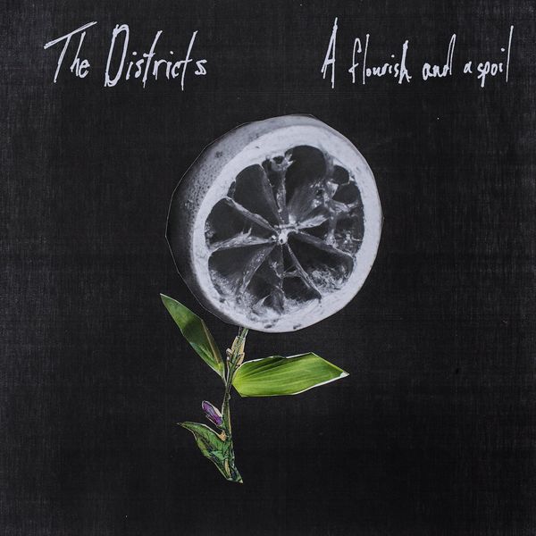 The Districts: A Flourish And A Spoil (CD)