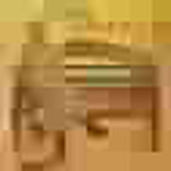 Cindy Church: Love On The Range (CD)