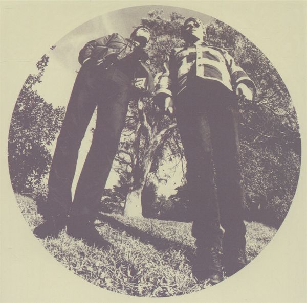 Ty Segall: Hair (CD)