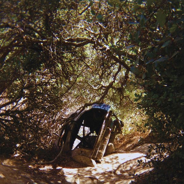 Ty Segall: Possession (Vinyl-LP)