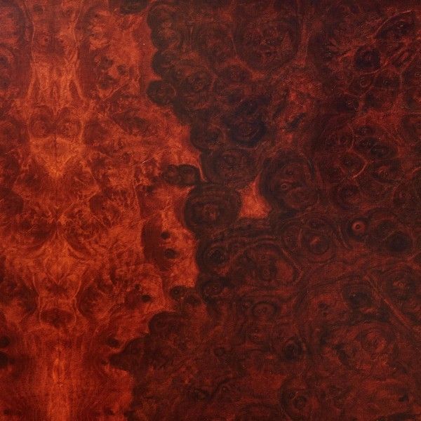 True Widow: Avvolgere (Limited Edition) (Orange/Black Gala... (2 LPs)