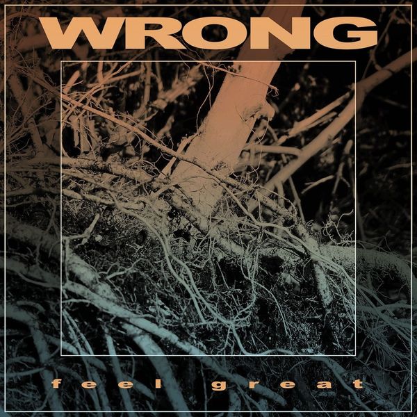 Wrong: Feel Great (Vinyl-LP)