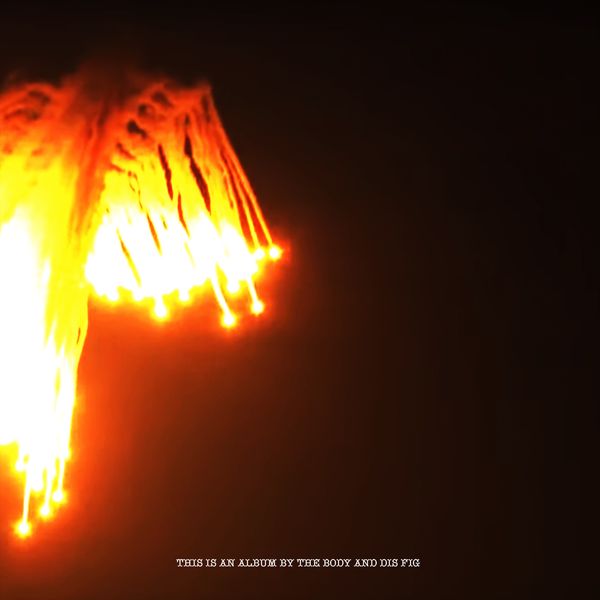 The Body & Dis Fig: Orchards Of A Futile Heaven (CD)