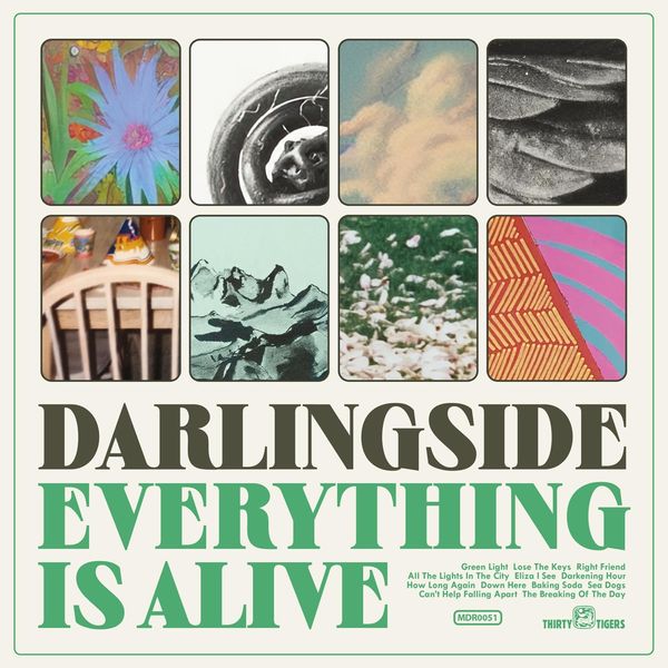 Darlingside: Everything Is Alive (CD)