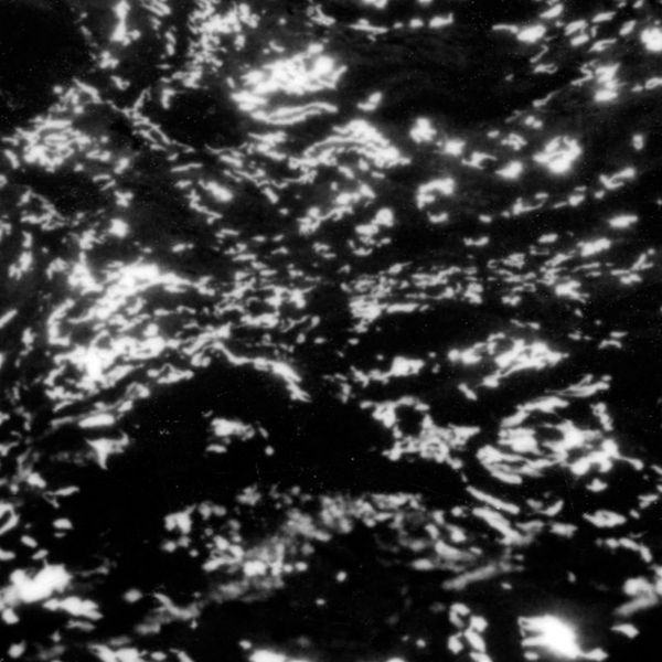 Grouper: A/A: Dream Loss (Vinyl-LP)