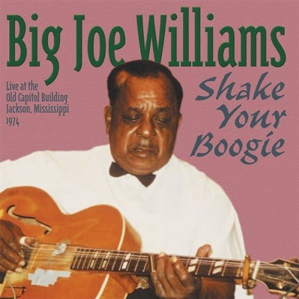 Big Joe Williams (Guitar/Blues): Shake Your Boogie (CD)