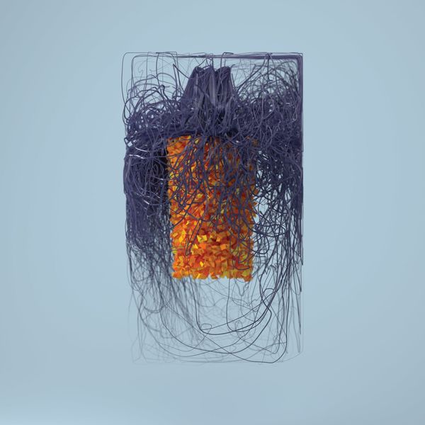 Plaid: Polymer (CD)