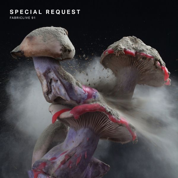 Special Request: Fabriclive 91 (CD)