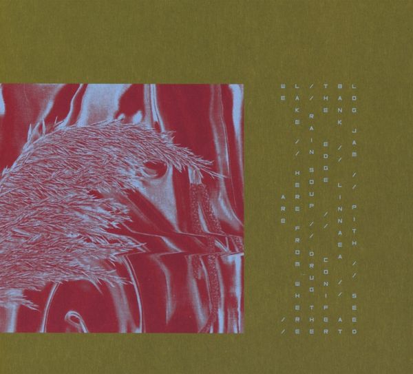 Pariah: Here From Where We Are (CD)