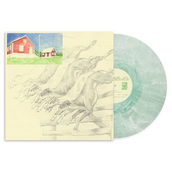Quickly Quickly: I Heard That Noise (Mint Green Vinyl) (Vinyl-LP)