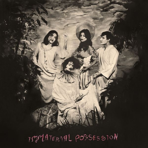 Immaterial Possession: Immaterial Possession (Limited Edition... (LP)