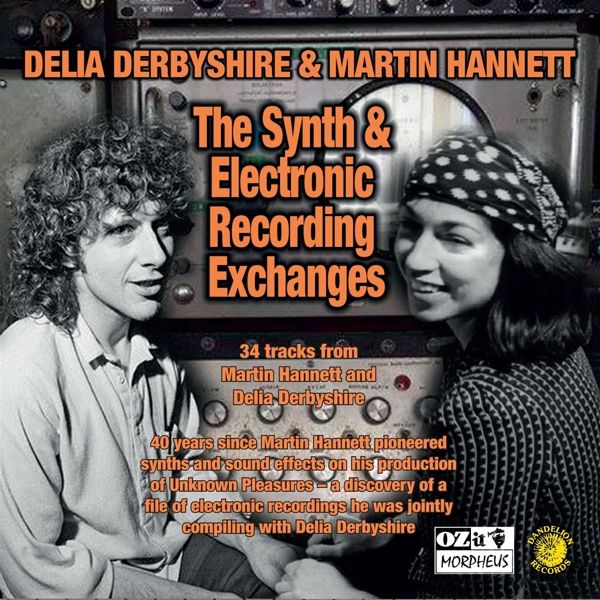 Delia Derbyshire & Martin Hannett: The Synth And Electronic R... (CD)