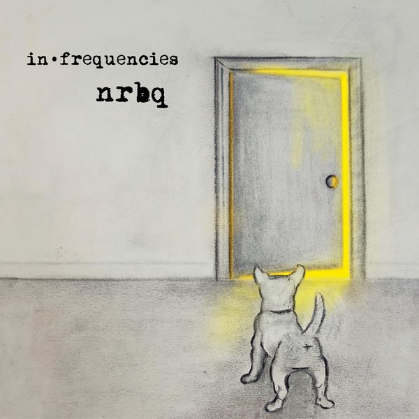NRBQ: In Frequencies (Vinyl-LP)