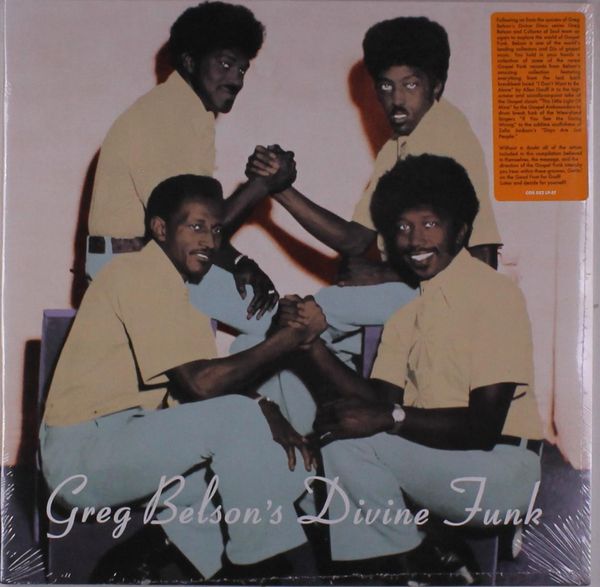 Soul / Funk / Rhythm And Blues: Greg Belsons Divine Funk: Ra... (LP)