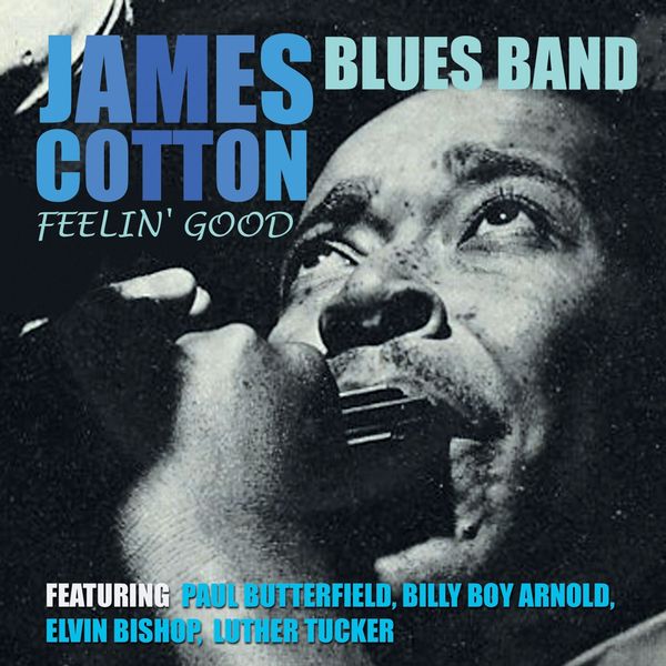 James Cotton: Feelin Good (CD)