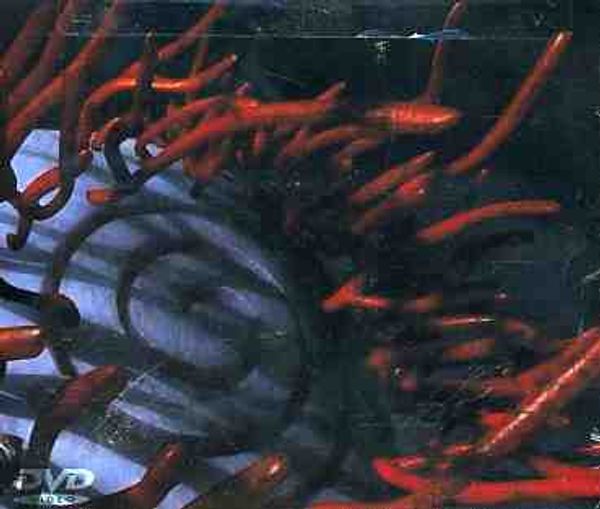 Tool: Schism (DVD)