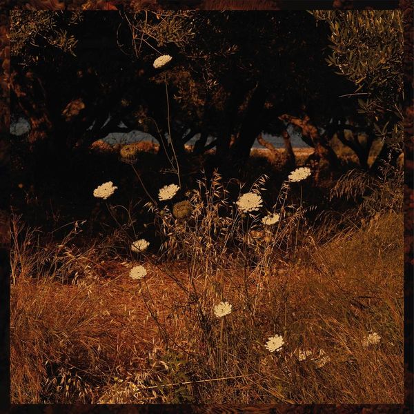 Szun Waves: Earth Patterns (CD)