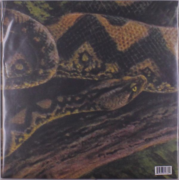Rainforest Spiritual Enslavement: Ambient Black Magic (3 Vinyl-LPs)