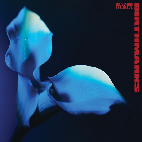 Bambara: Birthmarks (Cloudy Clear Vinyl) (Vinyl-LP)