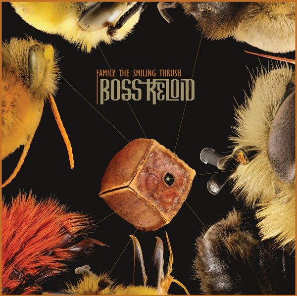 Boss Keloid: Family The Smiling Thrush (CD)