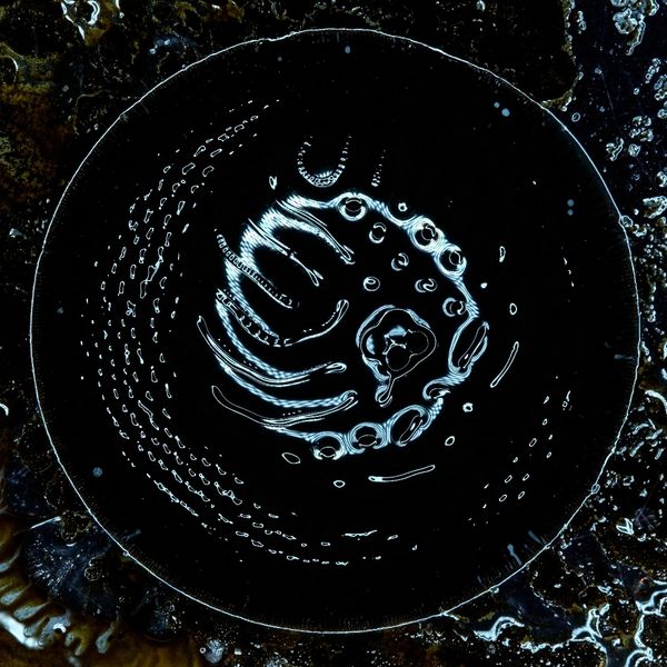 Stonus: Stonus (Vinyl-LP)