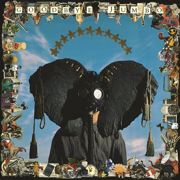 World Party: Goodbye Jumbo (180g) (Vinyl-LP)