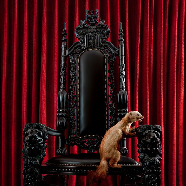 Brume: Marten (Cloudy Clear/Black Marbled) (Vinyl-LP)