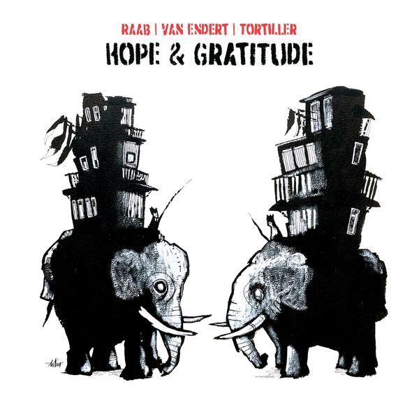 Lorenz Raab, Philipp van Endert & Franck Tortiller: Hope & Gr... (LP)