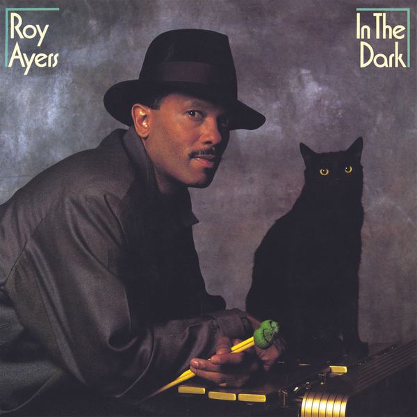 Roy Ayers: In The Dark (CD)