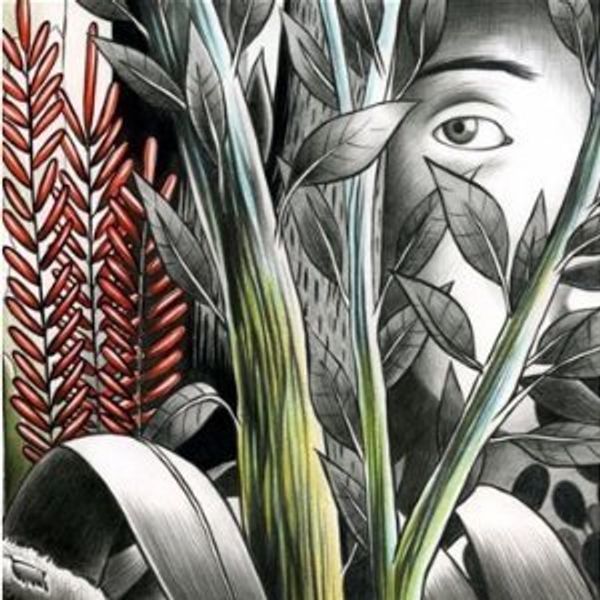 Dominique A: Vers Les Lueurs (2 Vinyl-LPs)