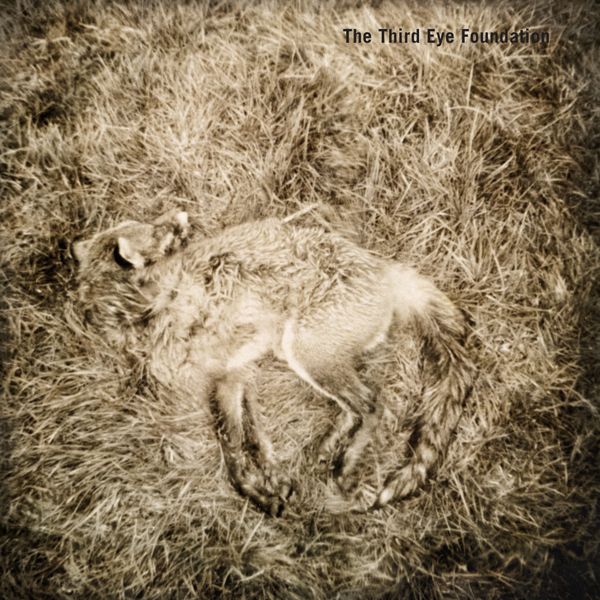 The Third Eye Foundation: Semtex (20th Anniversary Edition) (2 LPs)