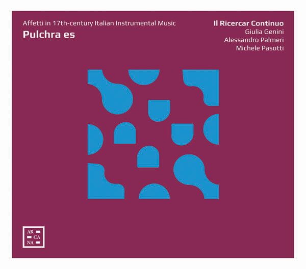 Pulchra es - Affetti in 17th Century Italian Instrumental Mus... (CD)