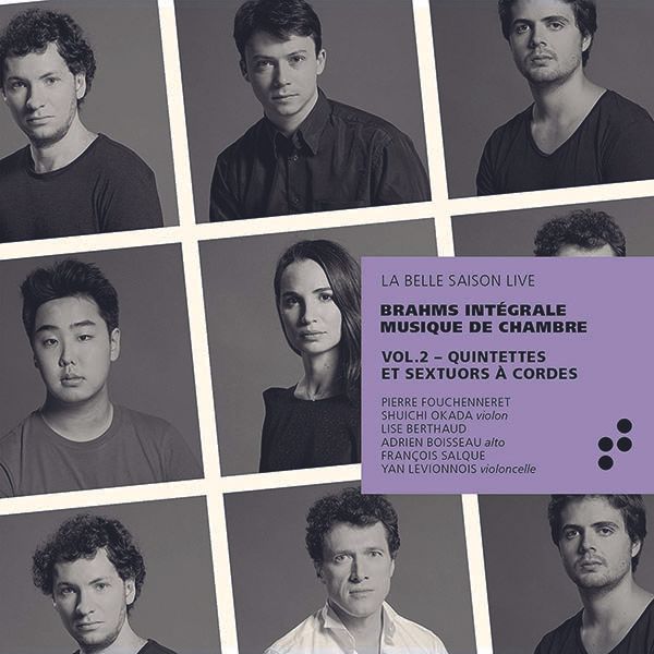 Johannes Brahms: Kammermusik Vol.2 (2 CDs)