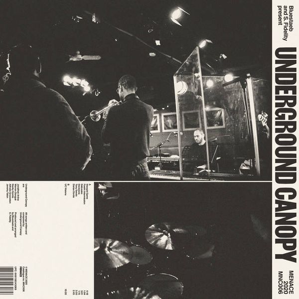 Bluestaeb & S. Fidelity Present Underground Canope (CD)
